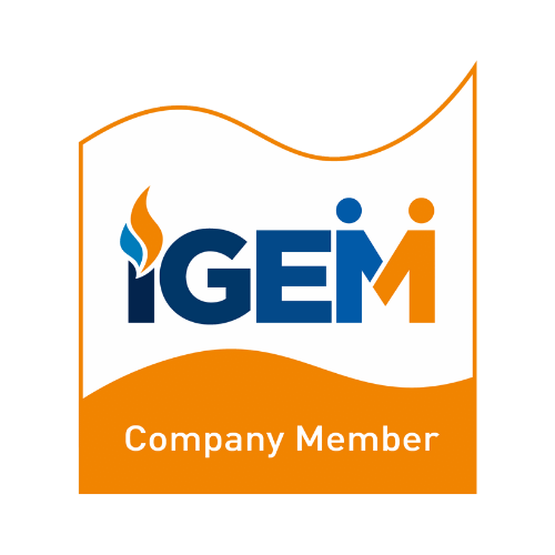 IGEM Logo